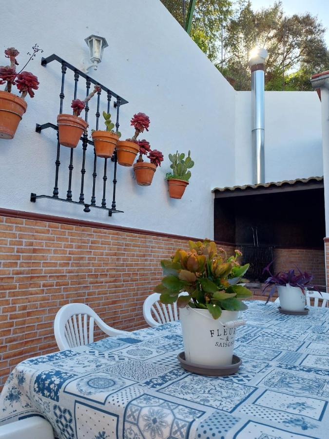Benamahoma Rural Apartment Ngoại thất bức ảnh